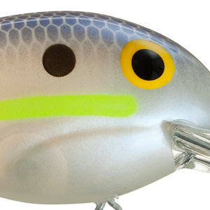 Chartreuse Shad
