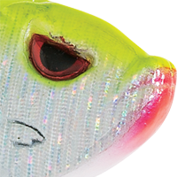 Chartreuse/Silver