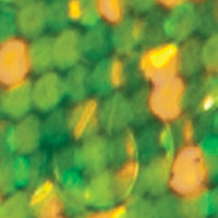 Chartreuse/Yellow Flo Chart