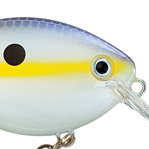 Chartreuse Shad