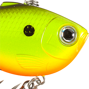 Chartreuse Shad