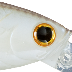 Chartreuse Shad