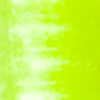 Chartreuse Shad