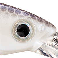 Chartreuse Shad