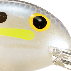 Chartreuse Shad