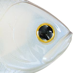 Chartreuse Shad
