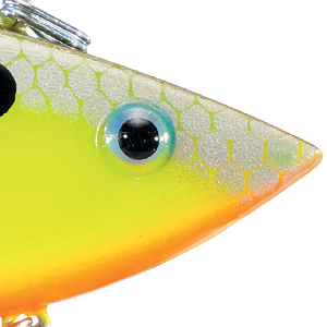 Chartreuse Shiner