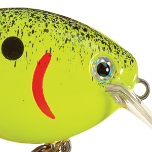 Chartreuse Splatterback