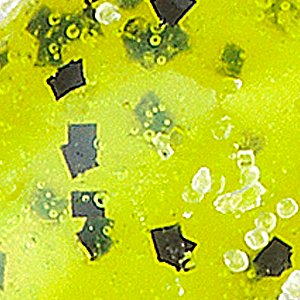 Chartreuse Pepper