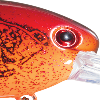 Chili Craw