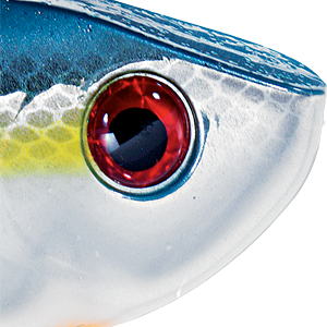Chrome Sexy Shad