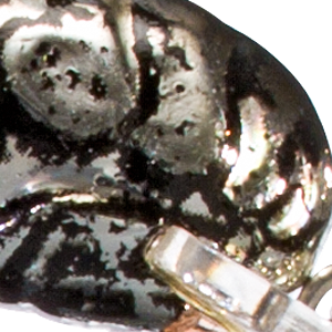 Chrome Black Back