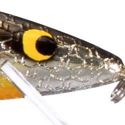 Chrome Black Back Orange Belly