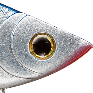 Chrome/Blue Back
