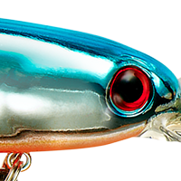 Chrome Blue Back