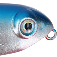 Chrome/Blue Back