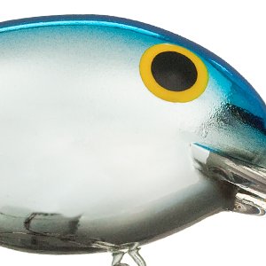 Chrome Blue Back