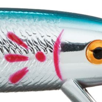 Chrome/Blue Back
