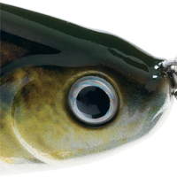 Chrome Perch