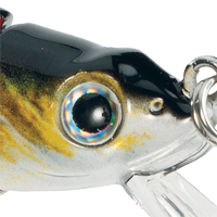 Chrome Perch