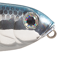 Chrome Sexy Shad