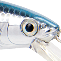 Chrome Sexy Shad