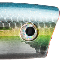 Chrome Sexy Shad