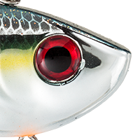Chrome Sexy Shad