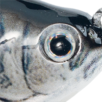 Chrome Shiner