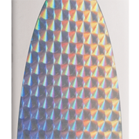 Chrome/Silver Prism-Lite