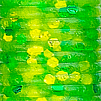 Chartreuse/Green,Chartreuse Fk