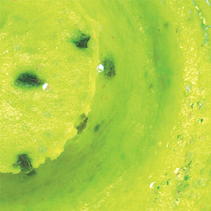 Chunky Chartreuse