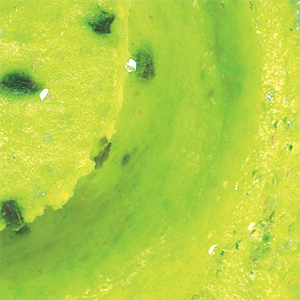 Chunky Chartreuse