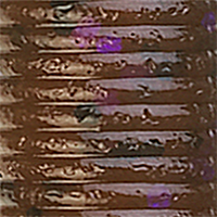 Cinnamon Black Purple Flake