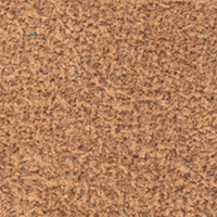 Cinnamon