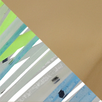 Citrus Shad