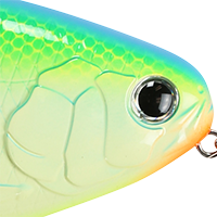 Citrus Shad