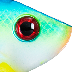 Citrus Shad