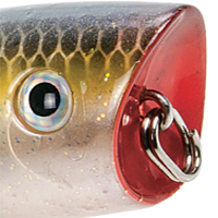Clear Ghost Sexy Shad