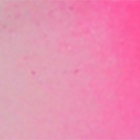 Clear Tip Pink