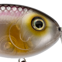 Clearwater Minnow