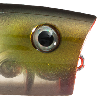 Clearwater Minnow