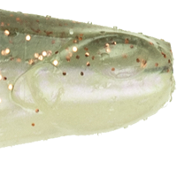 Clearwater Rose