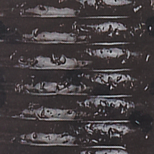 Cinnamon Black Glitter