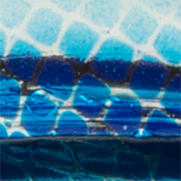 Metallic Silver/Blue Scale