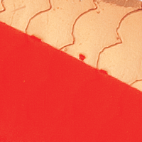 Copper/Fluorescent Red