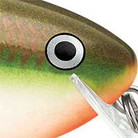 Copper Green Shad
