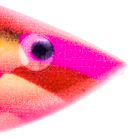 Cotton Candy Craw