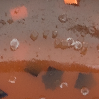 Crawdad