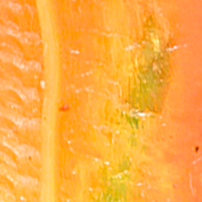 Crawfish